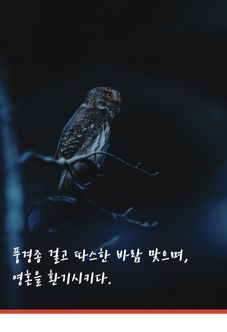 금전운 부엉이 문종 풍수 도어벨 현관문종 풍경