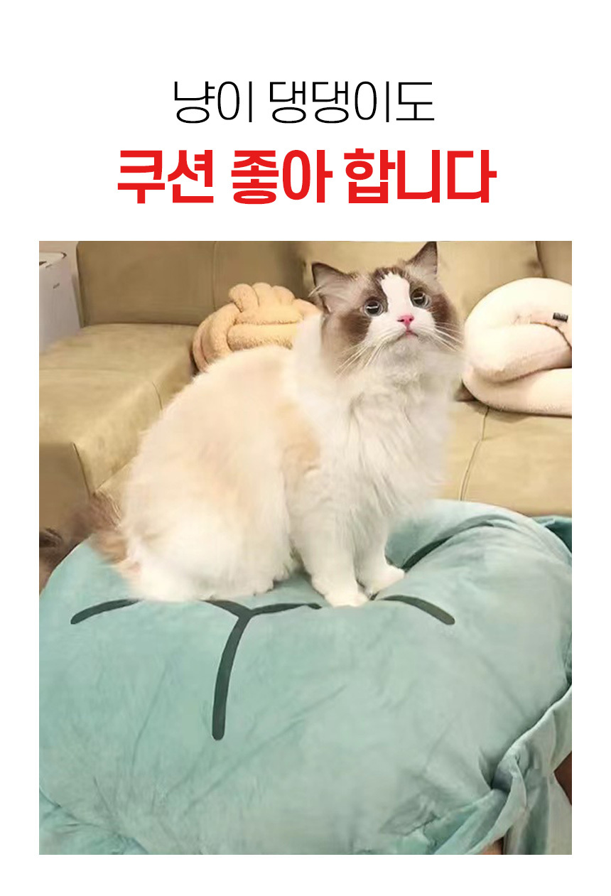 쿠션 거북이등딱지 반전문어 인형 등쿠션 인싸템 힐링 낮잠베게