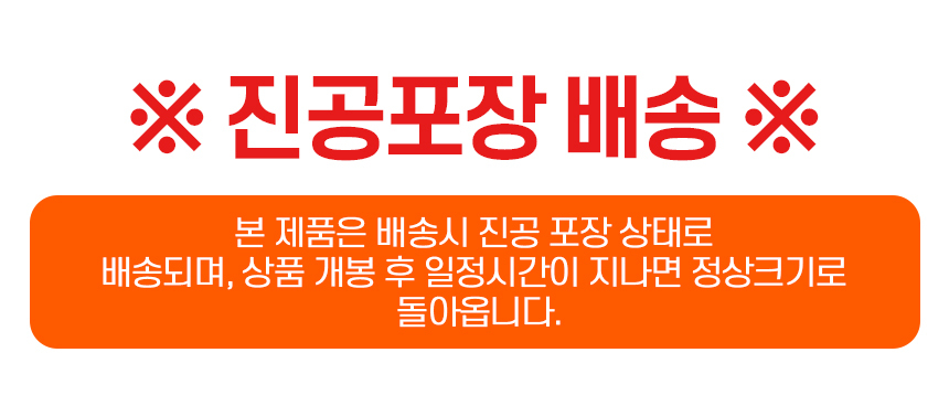 쿠션 거북이등딱지 반전문어 인형 등쿠션 인싸템 힐링 낮잠베게